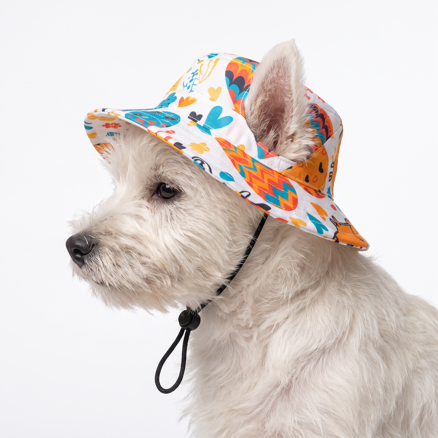 CoquettePup Sombrero